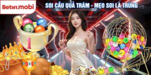 Soi Cầu Quả Trám