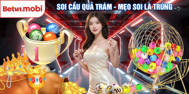 Soi Cầu Quả Trám