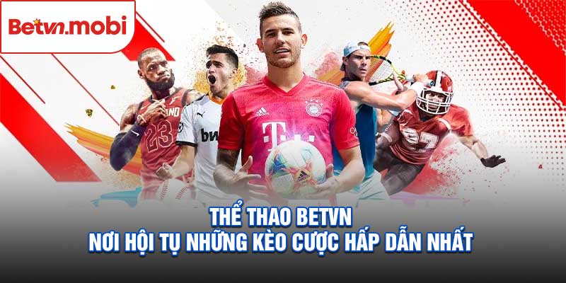 Thể Thao Betvn
